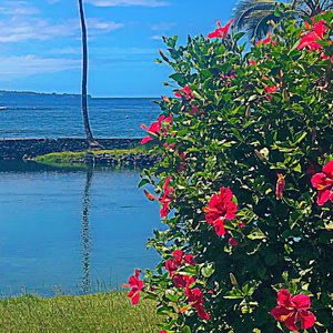 Meet your Posher, Lily